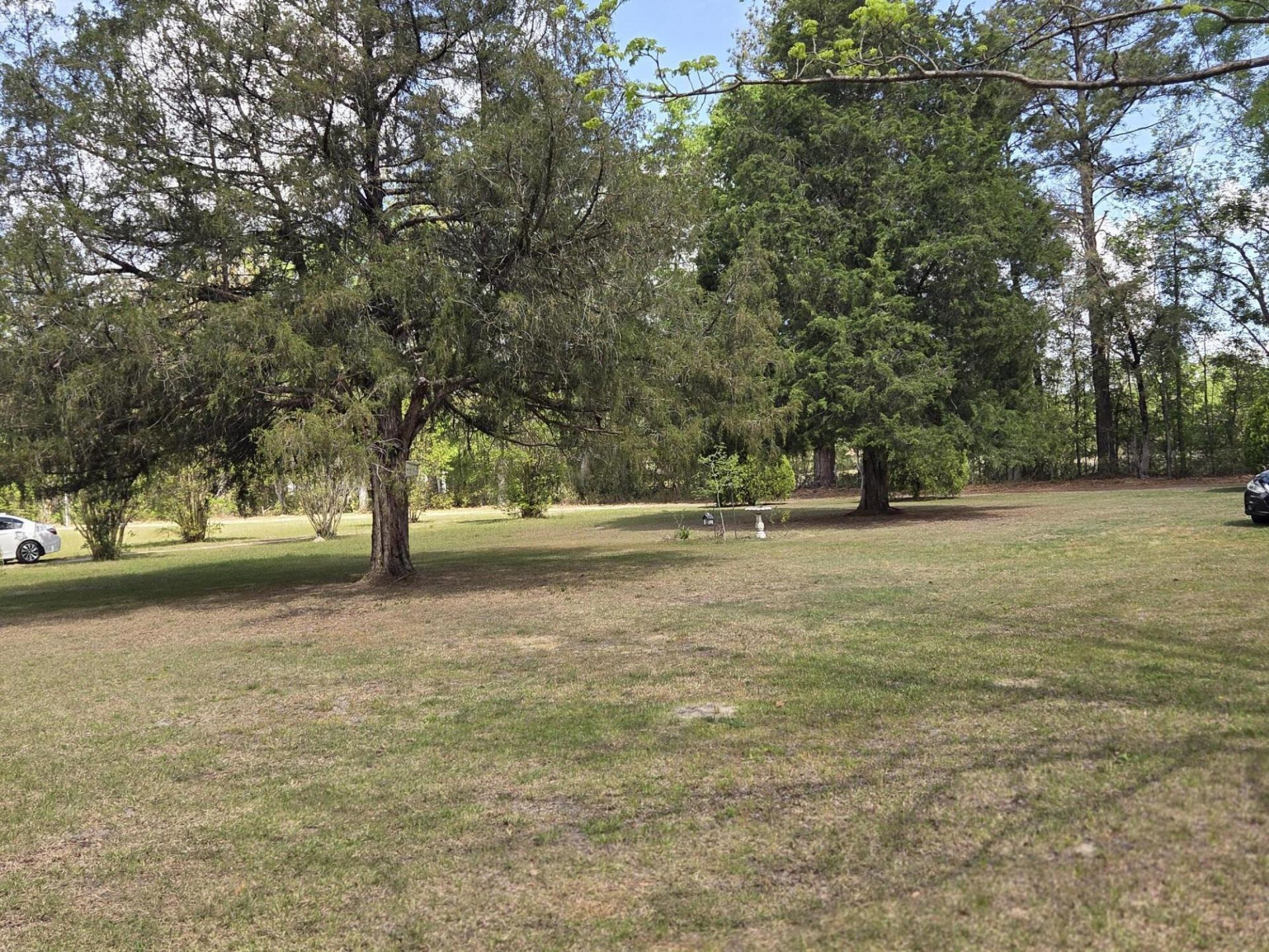 104 Jason Lane Photo 18