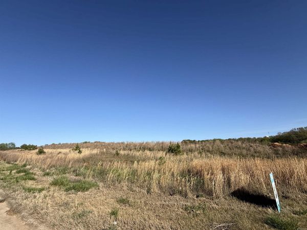 12.98 AC Chateau Blvd , Paragould, AR 72450