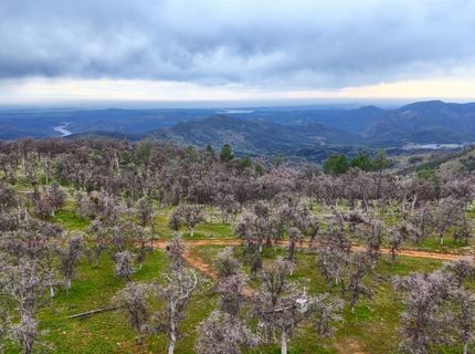 5873 Schilling, Coulterville, CA 95311 Photo