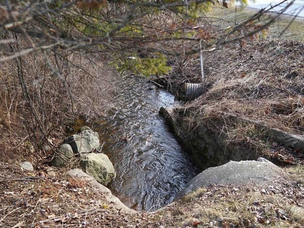 E1305 BOLT ROAD, Denmark, WI 54208