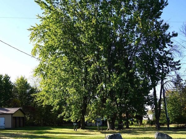 E1305 BOLT ROAD, Denmark, WI 54208