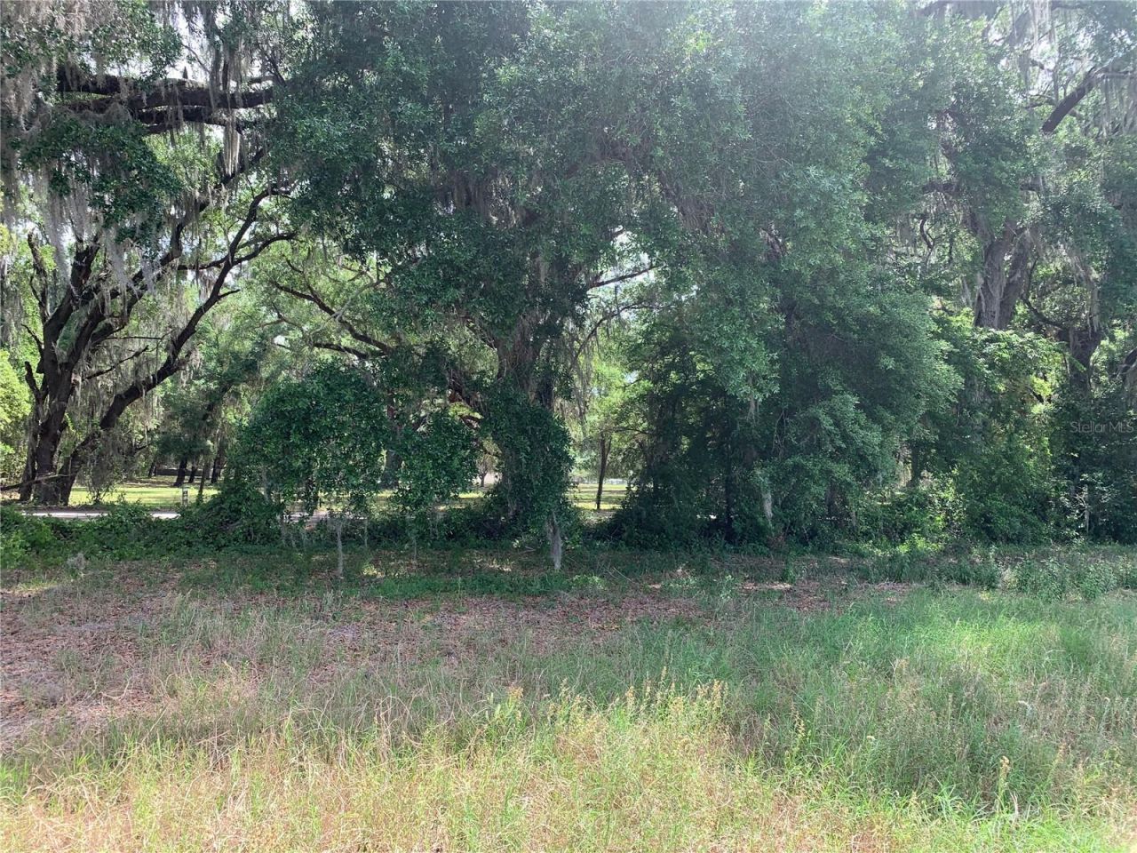 727, Webster, FL 33597 Photo