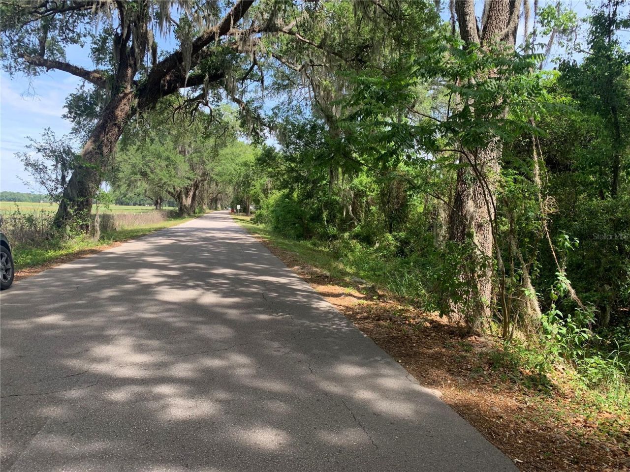 727, Webster, FL 33597 Photo