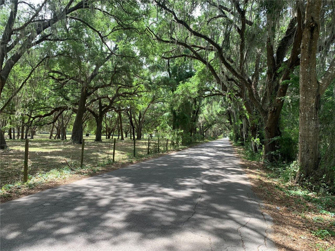 727, Webster, FL 33597 Photo