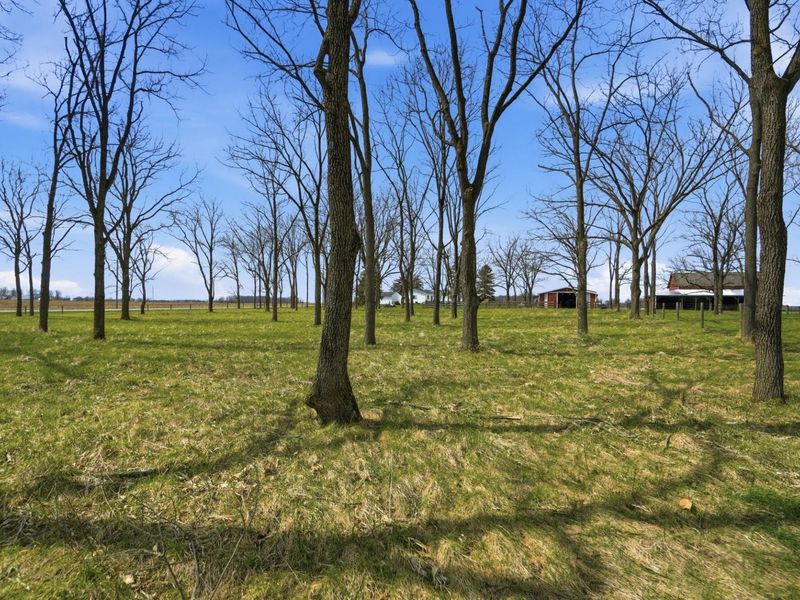 9035 N Alcony Conover Road, Conover, OH 45317 Photo 79