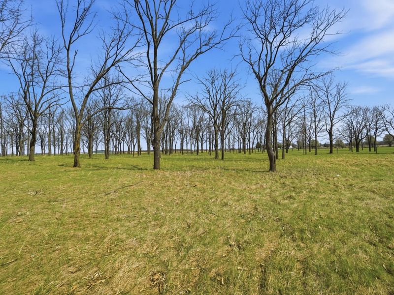 9035 N Alcony Conover Road, Conover, OH 45317 Photo 81