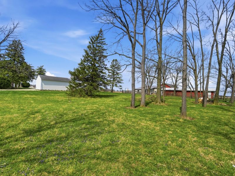 9035 N Alcony Conover Road, Conover, OH 45317 Photo 83