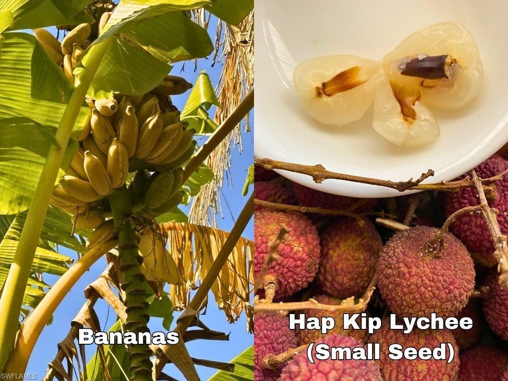 6640 Sunrise Ln, Bokeelia, FL 33922 Photo