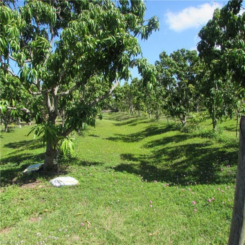 6640 Sunrise Ln, Bokeelia, FL 33922 Photo