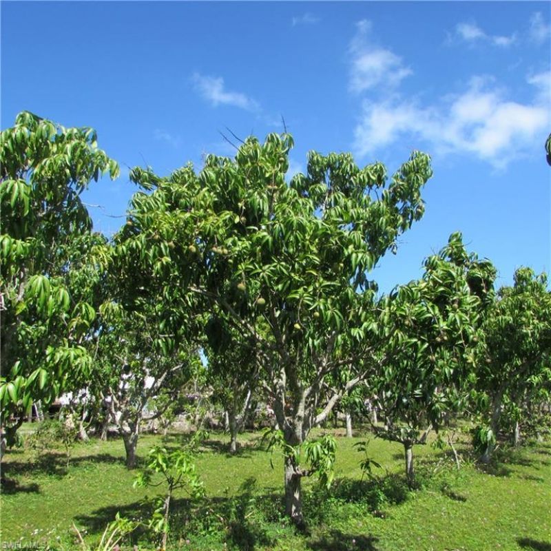 6640 Sunrise Ln, Bokeelia, FL 33922 Photo