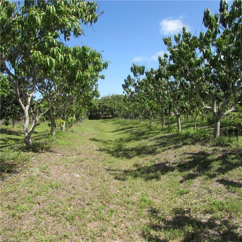 6640 Sunrise Ln, Bokeelia, FL 33922 Photo