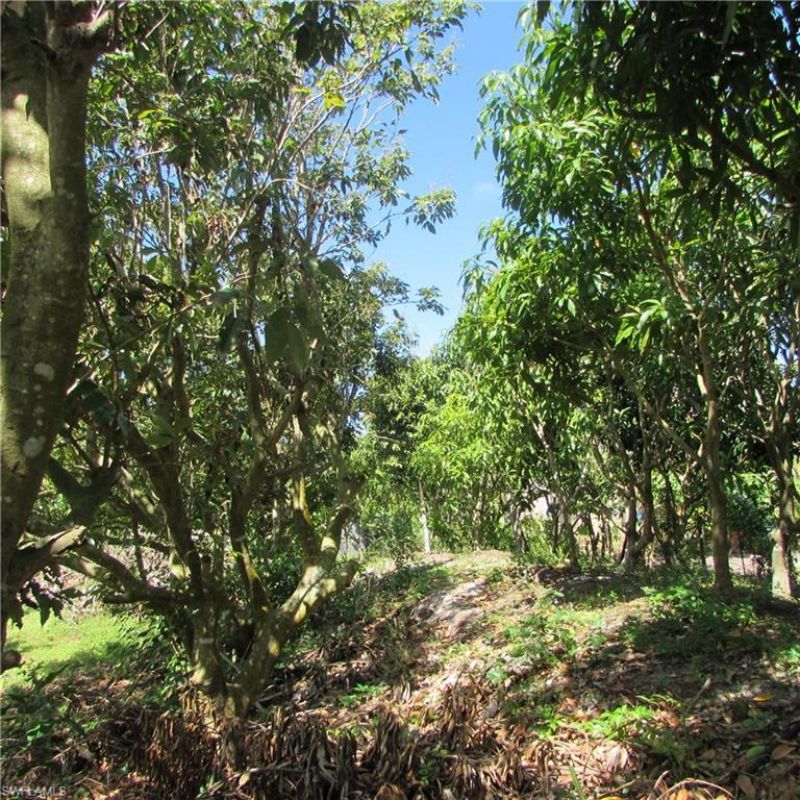 6640 Sunrise Ln, Bokeelia, FL 33922 Photo