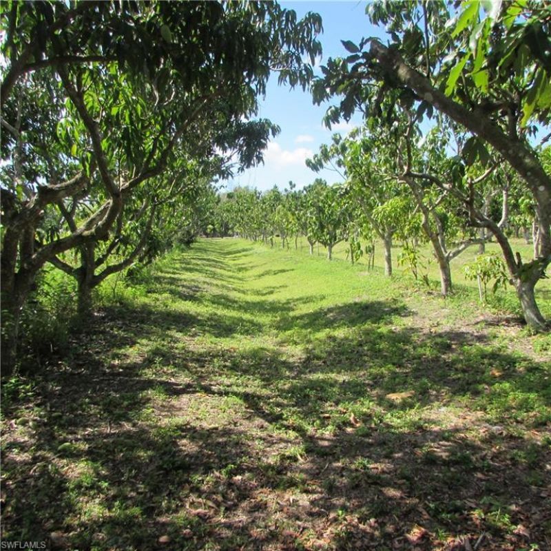 6640 Sunrise Ln, Bokeelia, FL 33922 Photo