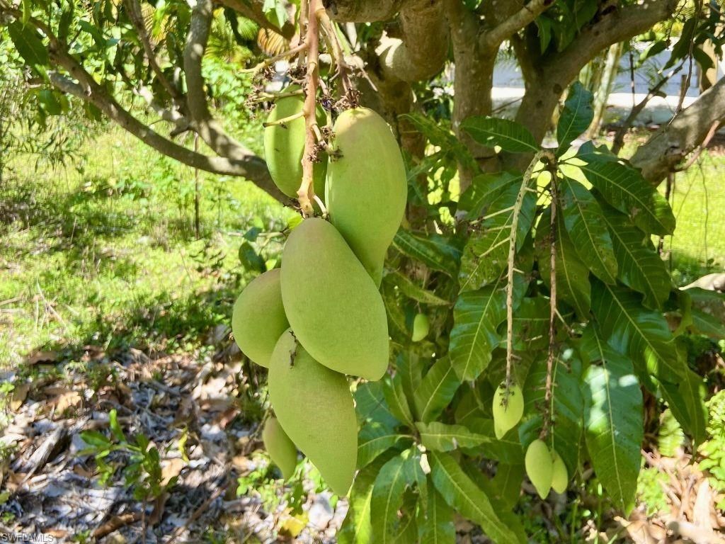 6640 Sunrise Ln, Bokeelia, FL 33922 Photo