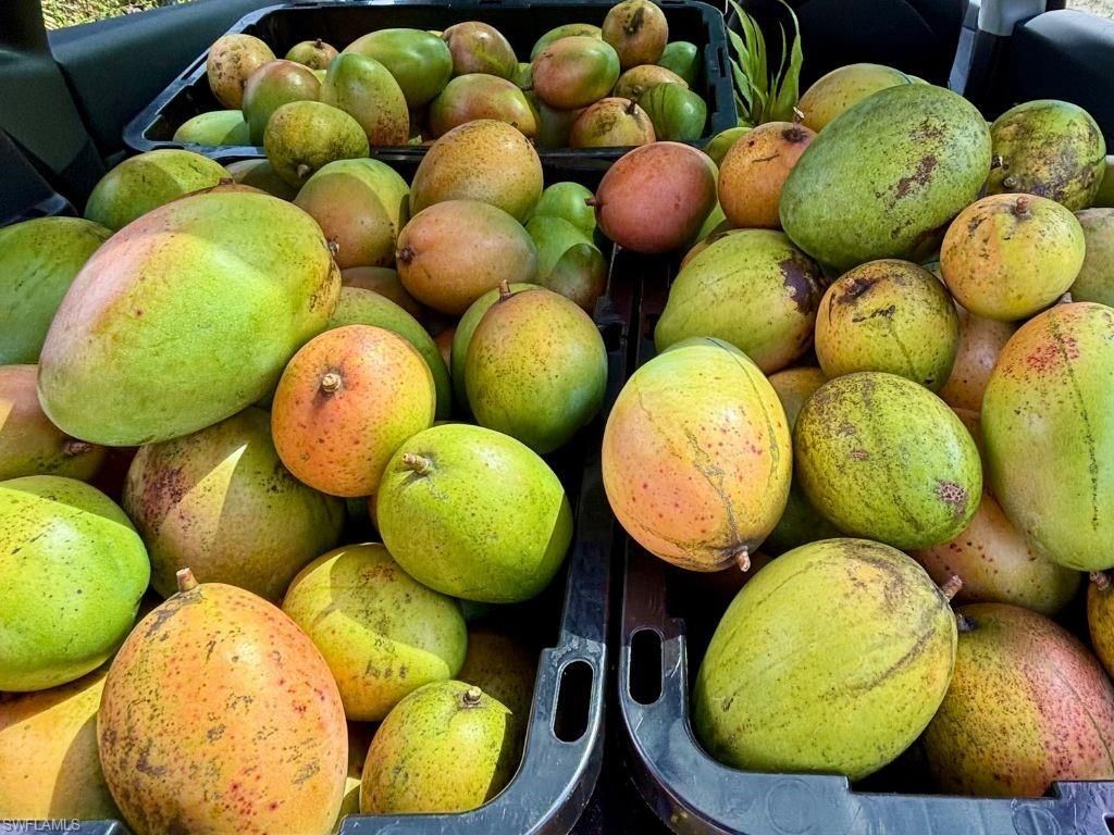 6640 Sunrise Ln, Bokeelia, FL 33922 Photo