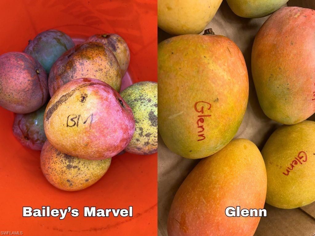 6640 Sunrise Ln, Bokeelia, FL 33922 Photo