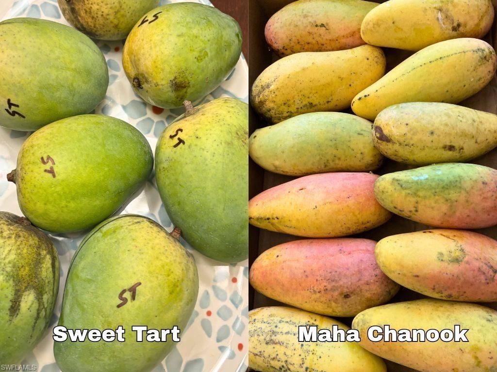 6640 Sunrise Ln, Bokeelia, FL 33922 Photo