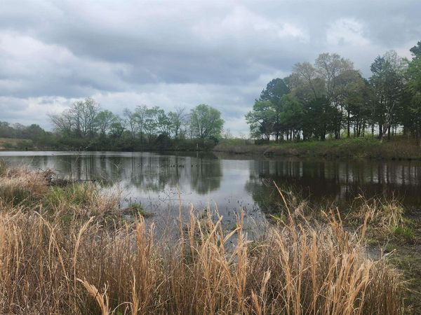 TBD Union Hill Rd , Story, AR 71970