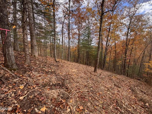 Lot 42 Cedar Falls Way, Sevierville, TN 37862