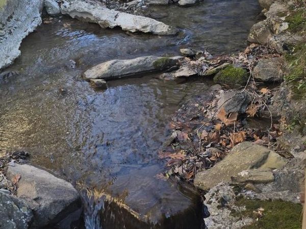 215 Circle Drive, Gatlinburg, TN 37738