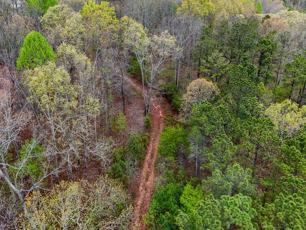 78 ACRES Cross Plains Rd Road, Carrollton, GA 30116