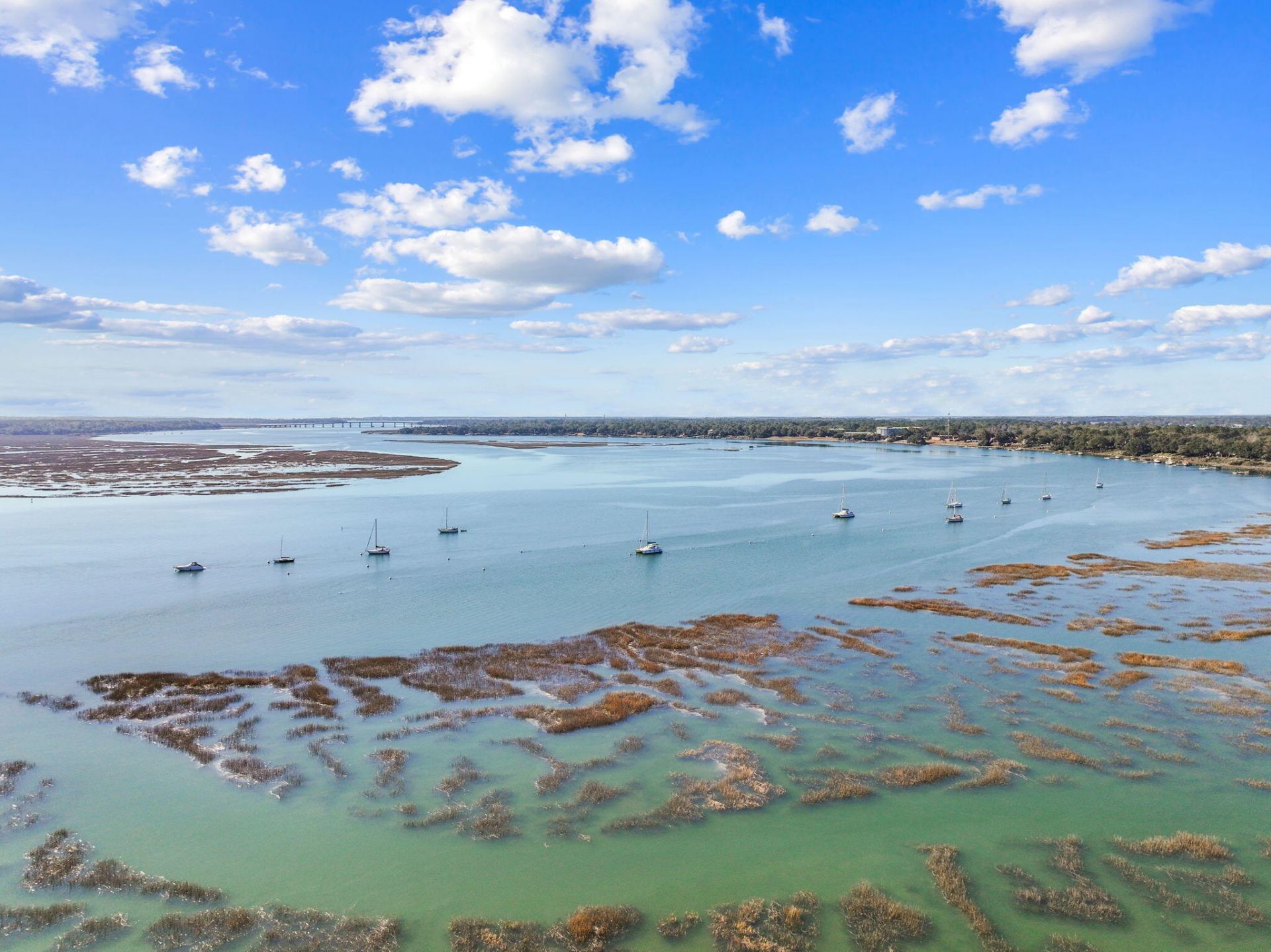 1307 Bay Street Photo 59