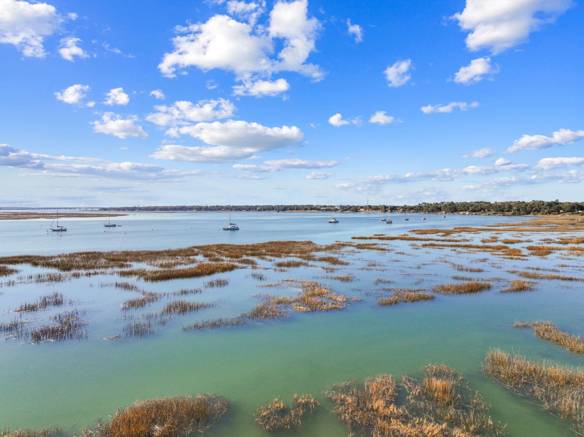 1307 Bay Street Photo 60