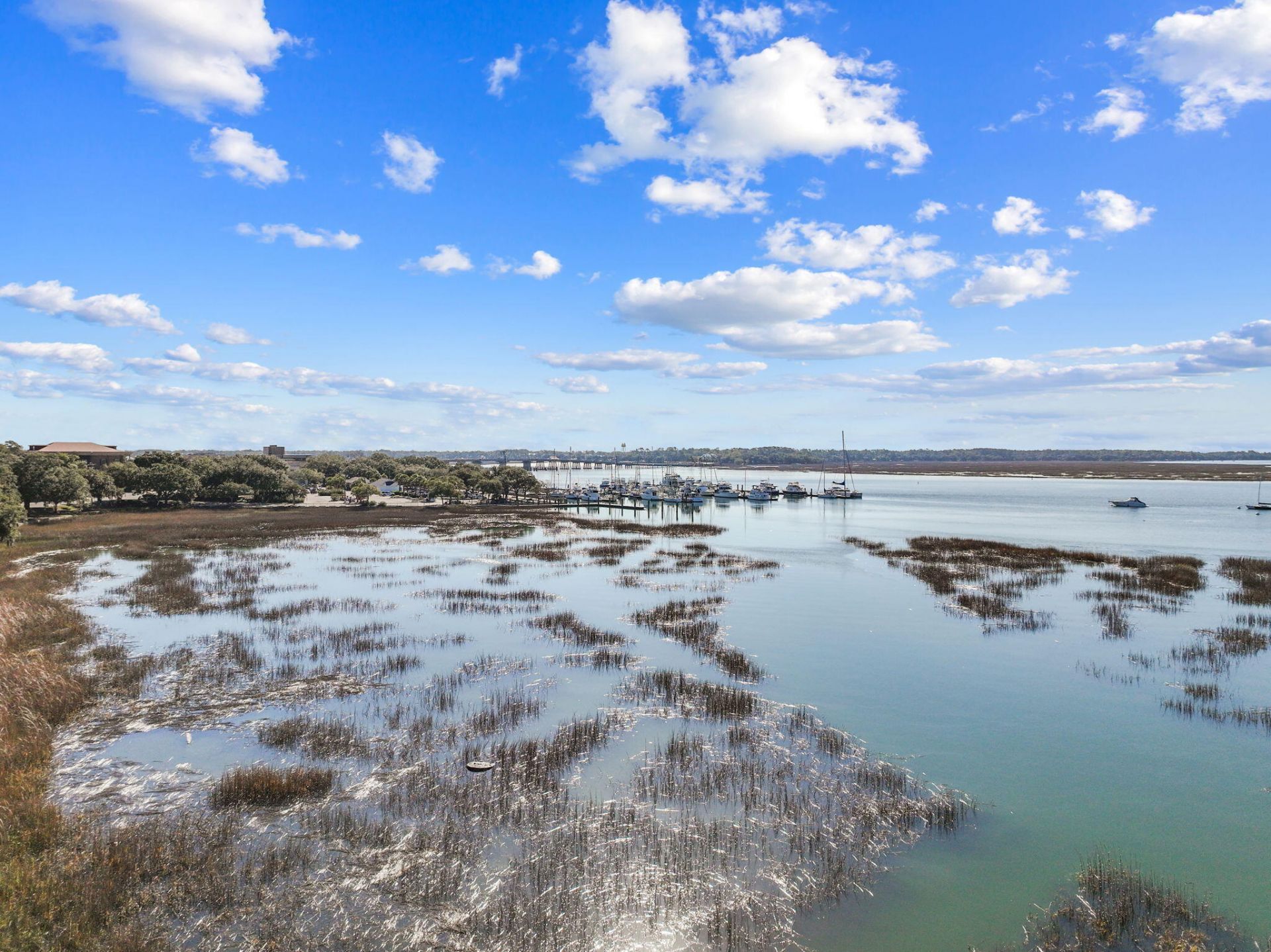 1307 Bay Street Photo 61