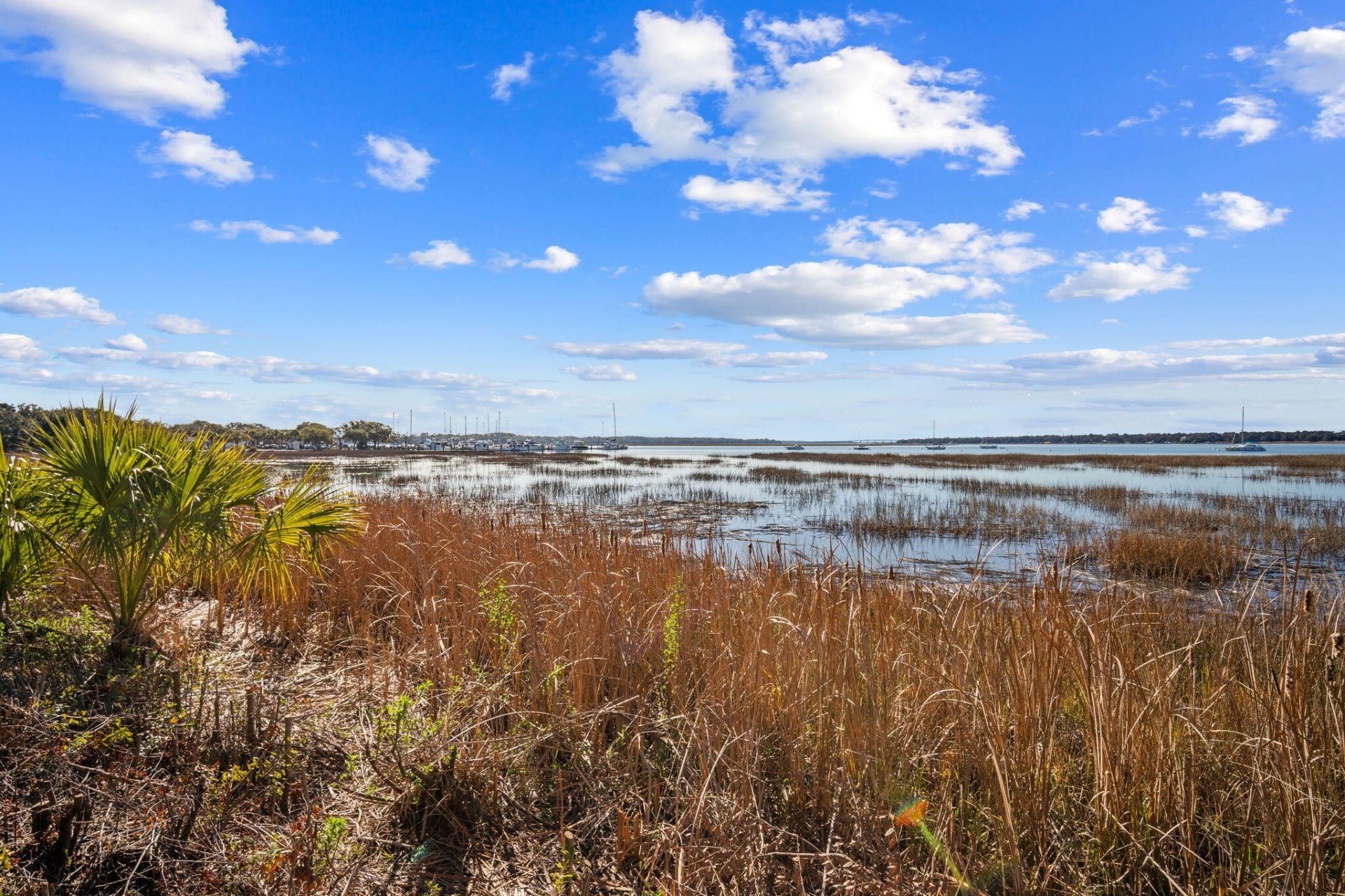 1307 Bay Street Photo 80