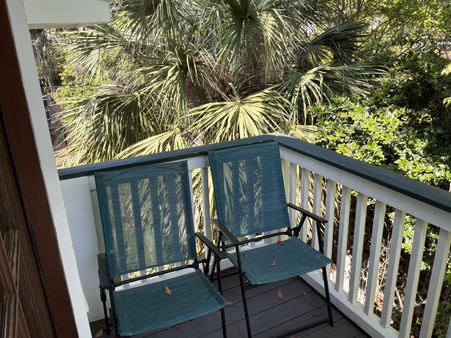 1307 Bay Street Photo 87