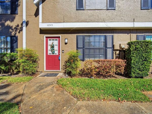 16545 BRIGADOON DRIVE , TAMPA, FL 33618