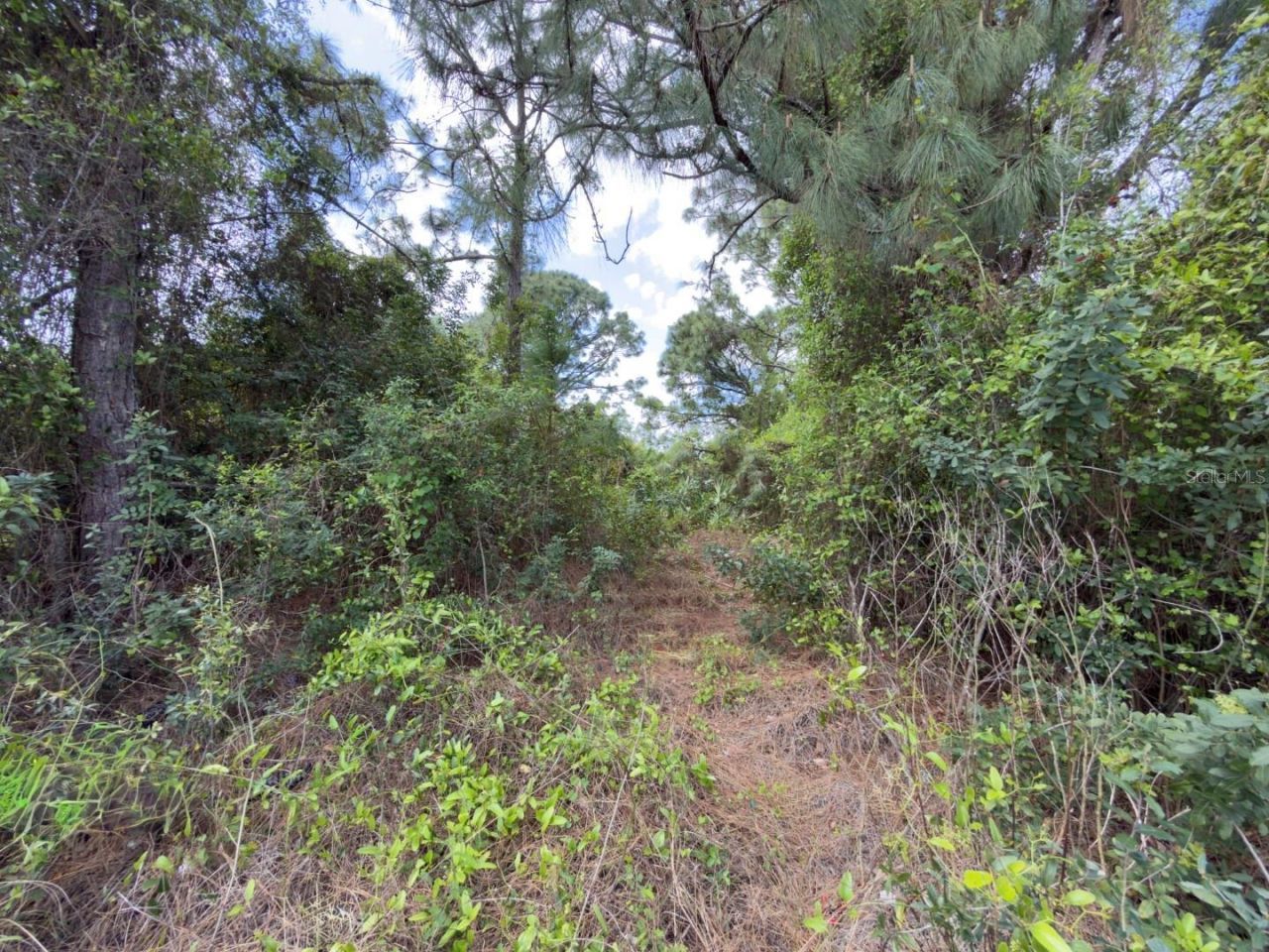 4529 28th Street Sw, Lehigh Acres, FL 33973 Photo