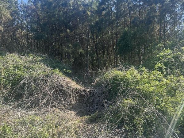 263 Humphrey Road, Holly Springs, MS 38635