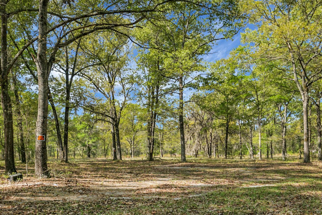 200 Belmont Drive Photo 46