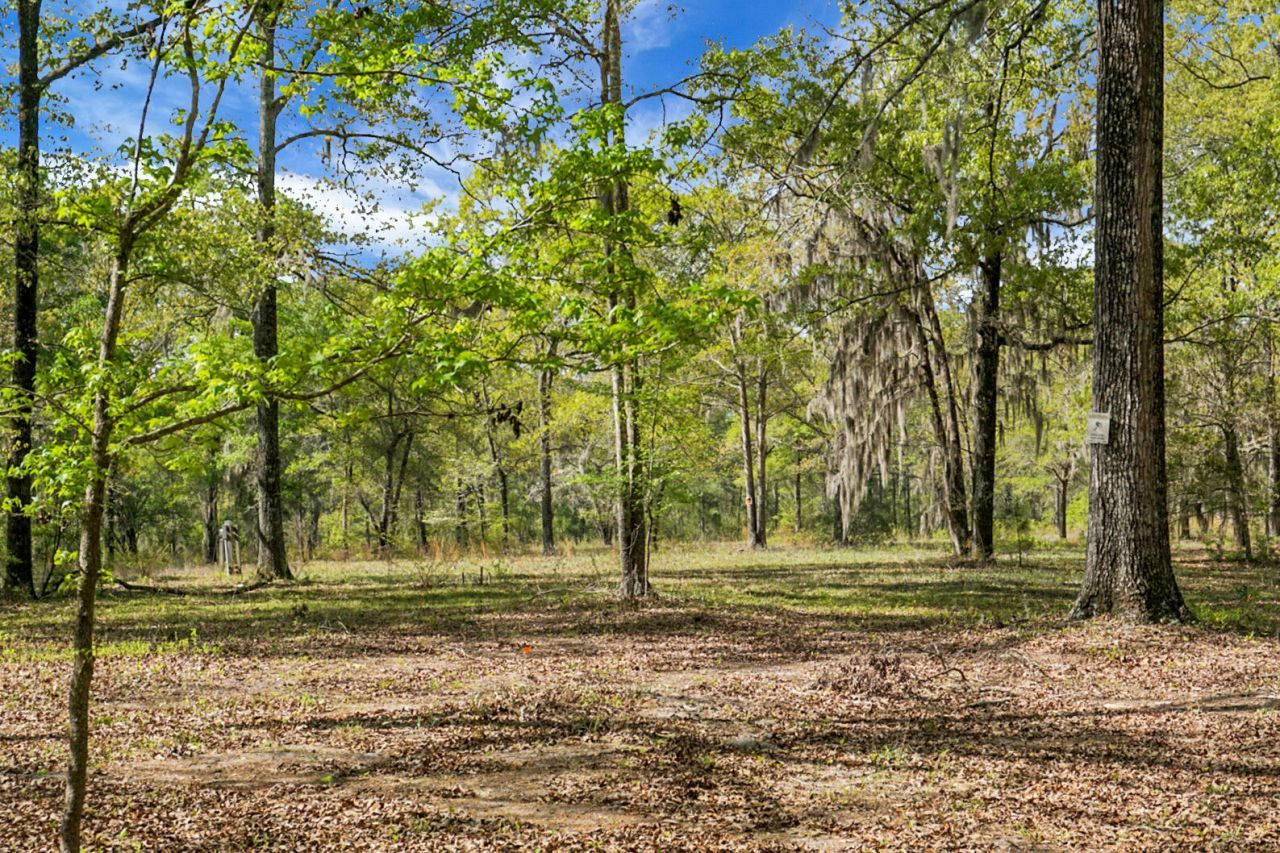 200 Belmont Drive Photo 48