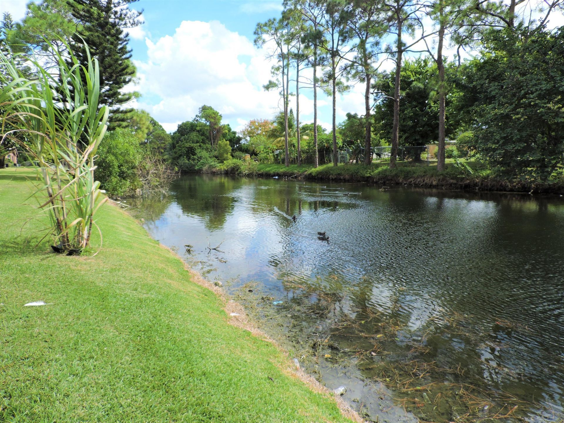 166 Sparrow Drive, Unit 2b, Royal Palm Beach, FL 33411 Photo