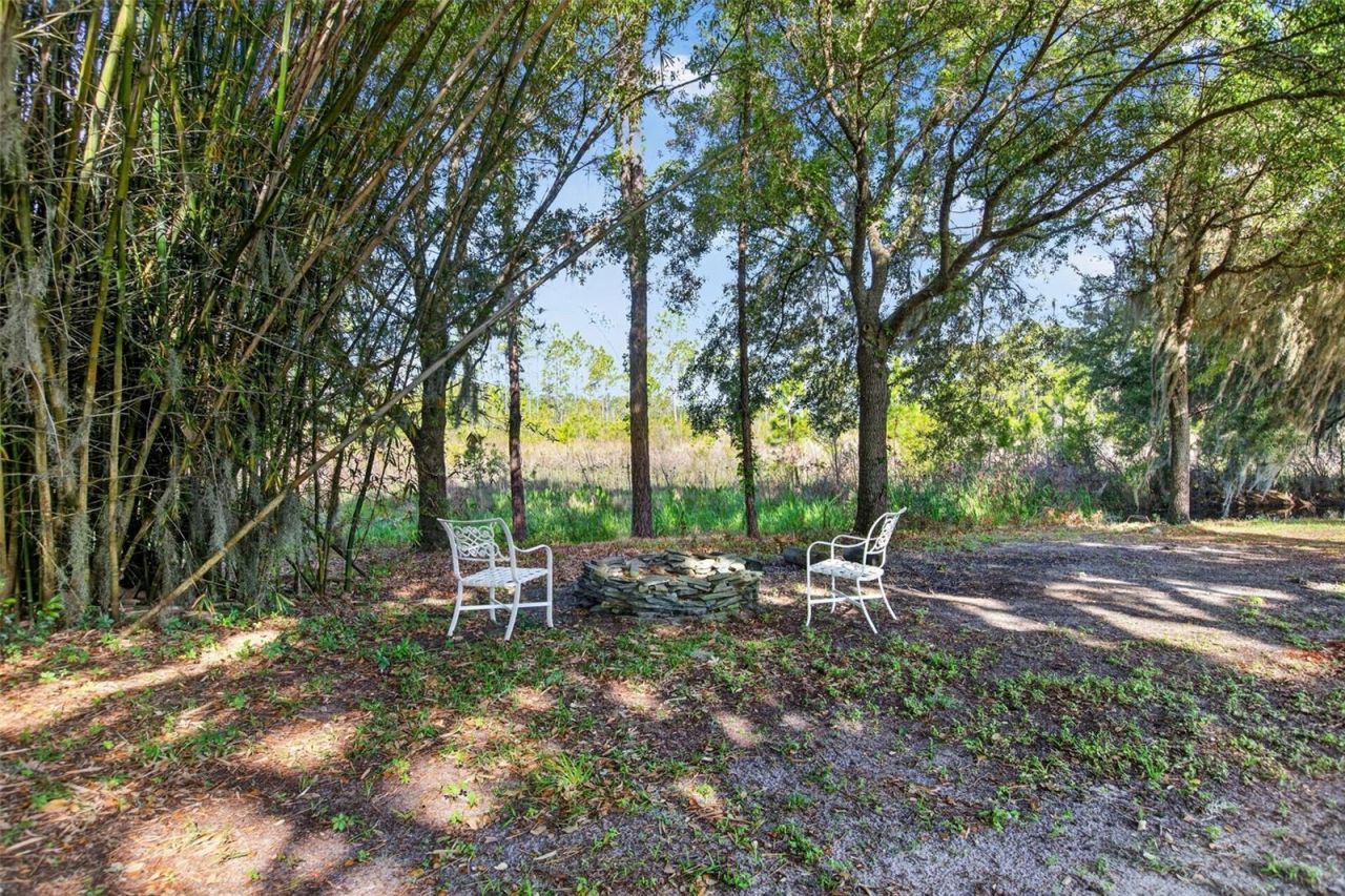 10107 Tween Waters Street, Clermont, FL 34715 Photo