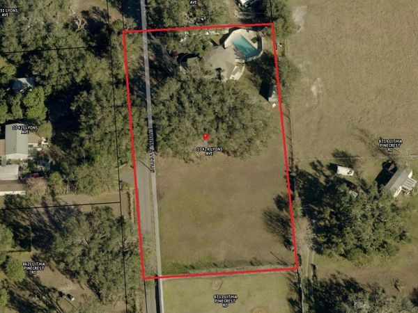 10424 LYONS AVENUE , LITHIA, FL 33547