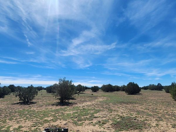 00000 N xxxxx Road, Unit 249A, Ash Fork, AZ 86320