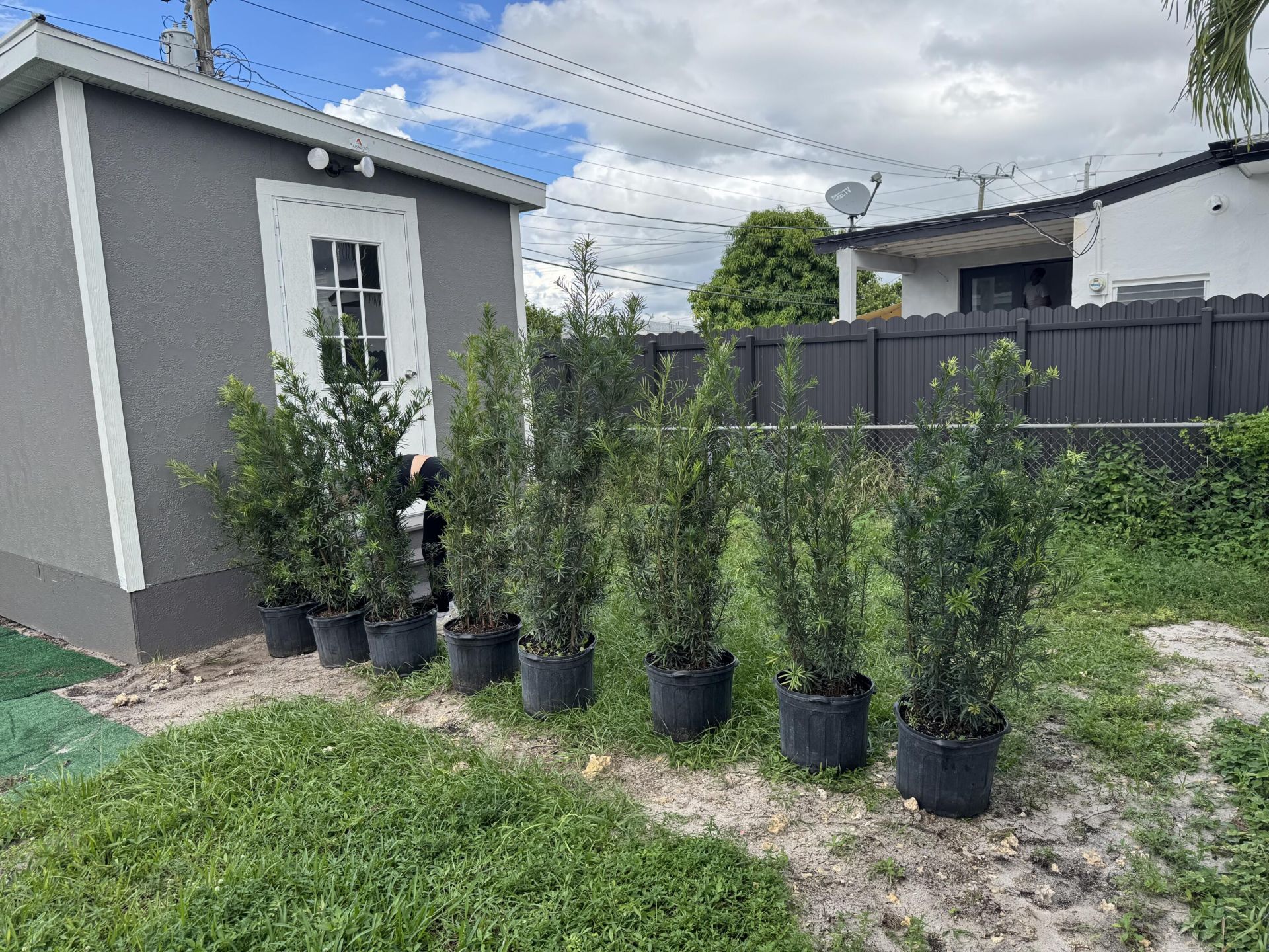 41 W 64th Street, Hialeah, FL 33012 Photo