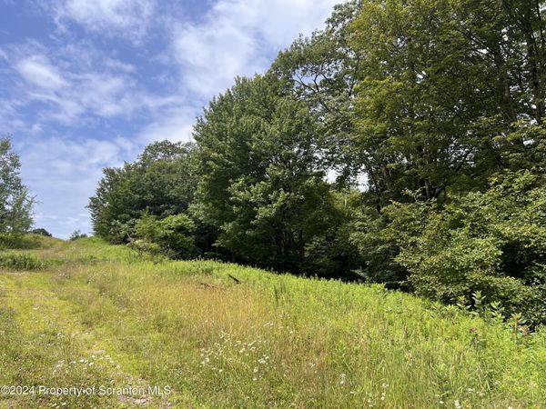 Scenic View Drive, Union Dale, PA 18470