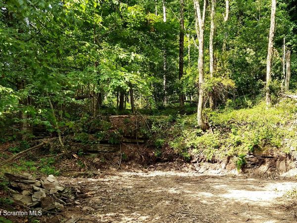 1013 Stearns Road, New Milford, PA 18834
