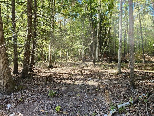 645 Evergreen Drive, Falls, PA 18615