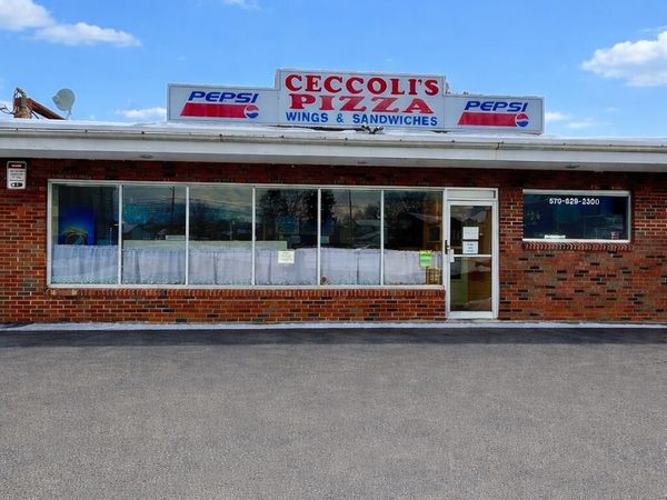 13 Woodward Street, Wilkes-Barre, PA 18705