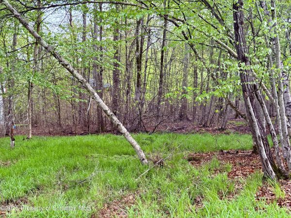 355 Fir Lane, Thornhurst, PA 18424