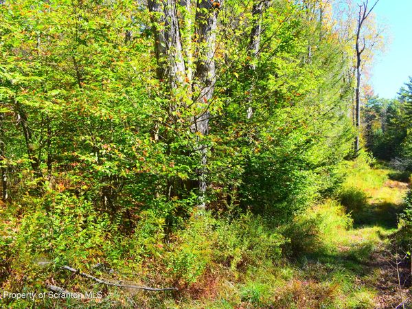 Westwoods Road Road, Brackney, PA 18812