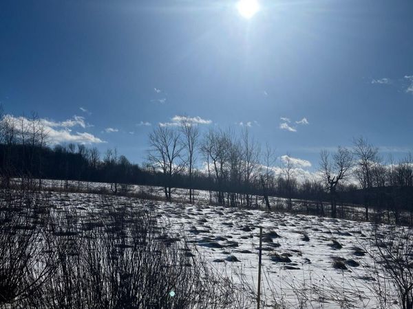 Hickory Hill Road, Starrucca, PA 18462