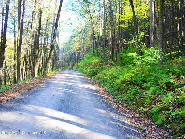 Graham Hollow Road, Hallstead, PA 18822