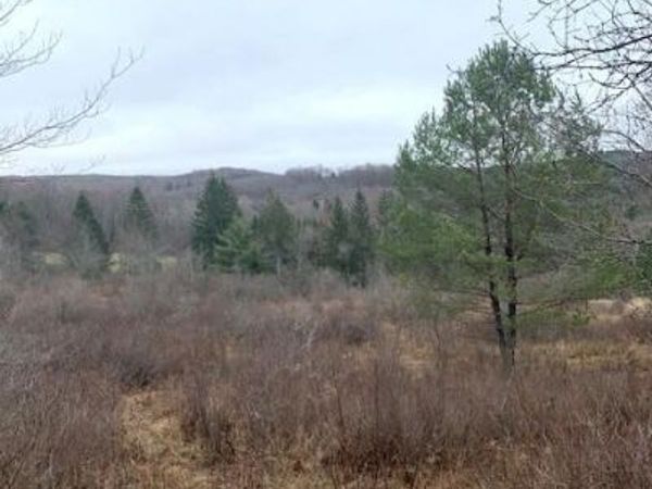 Jackson Valley Road, Little Meadows, PA 18830