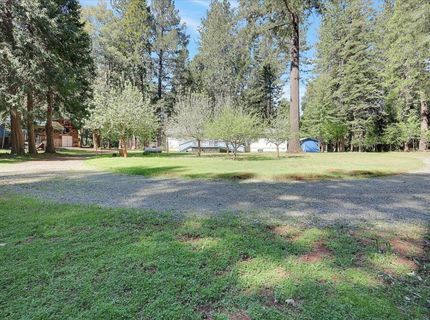 138 Big Fir Rd, Forbestown, CA 95941 Photo